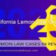 Top lemon law cases in California in 2023.